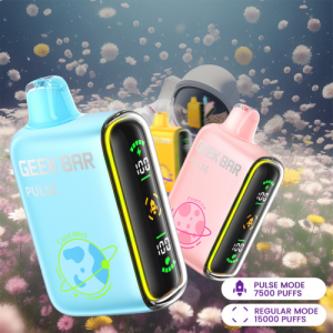 [일회용] 긱베이프 펄스 15000 퍼프