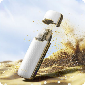 부푸 브이메이트E2 입호흡 기기